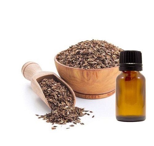 Dill Seed Oil Manufacturers In Manchester UK