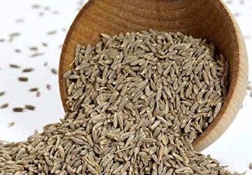 Fresh Cumin Seed Manufacturers In Manchester UK