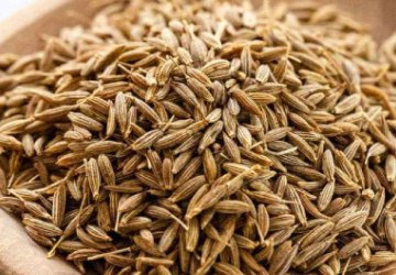 Jeera Manufacturers In Manchester UK