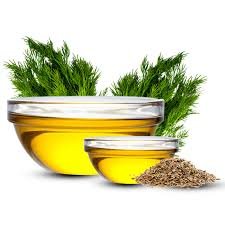Natural Dill Seed Oil Manufacturers In Manchester UK