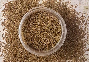 Organic Cumin Seed Manufacturers In Manchester UK